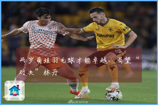 两岁萌娃羽毛球才能卓越，渴望“对决”林丹