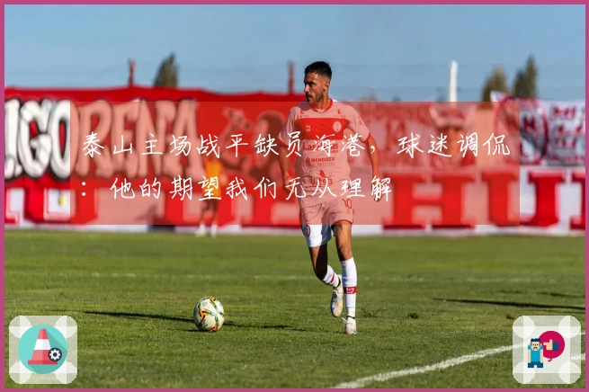 泰山主场战平缺员海港，球迷调侃：他的期望我们无从理解
